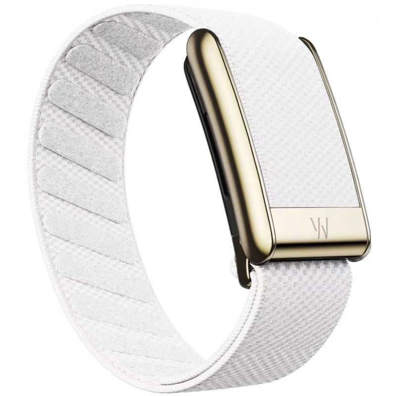 WHOOP 5.0 Replacement Band Gold