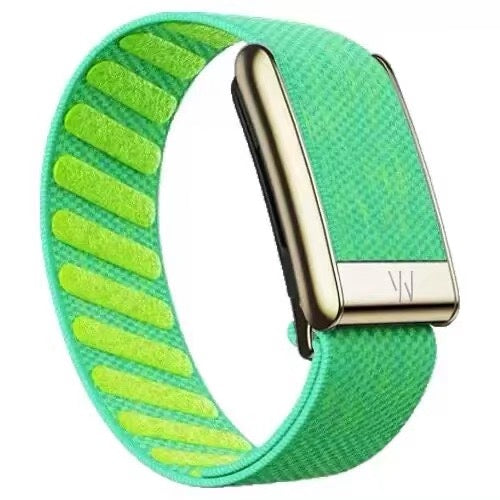WHOOP 5.0 Replacement Band Gold