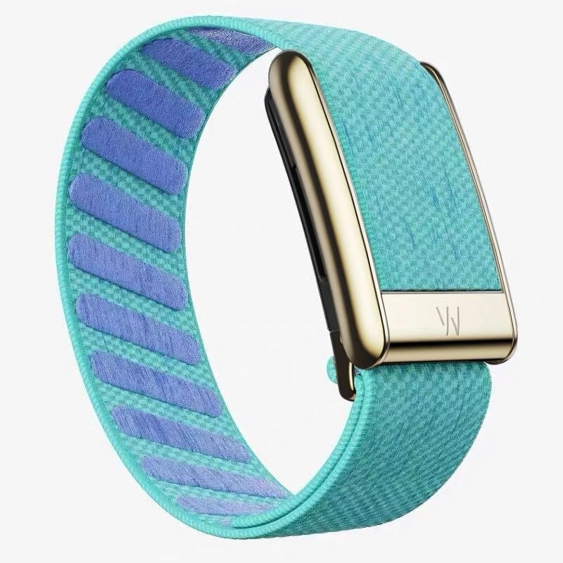 WHOOP 5.0 Replacement Band Gold