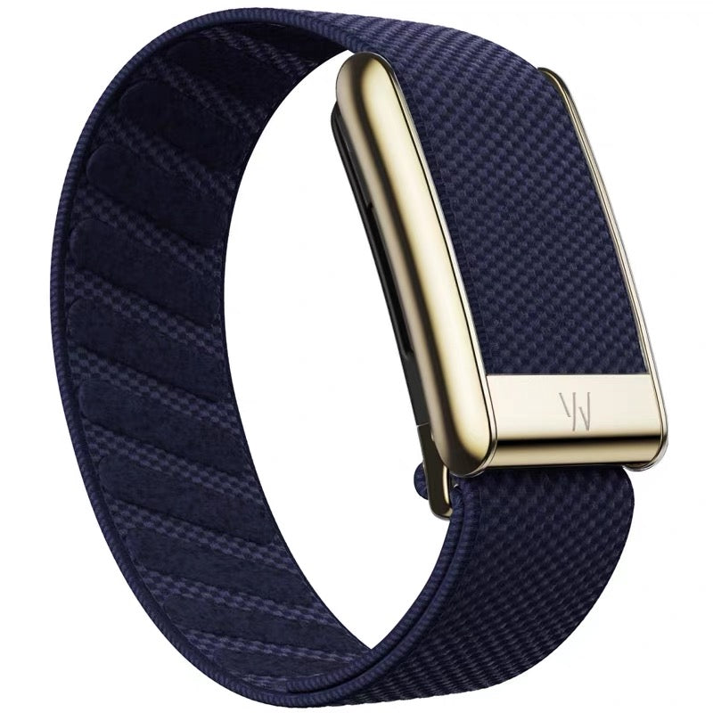 WHOOP 5.0 Replacement Band Gold